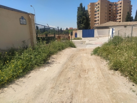 Calle sin asfaltar ni desbrozar en Zona Norte Granada capital (VOX) Calle sin asfaltar ni desbrozar en Zona Norte Granada capital (VOX)