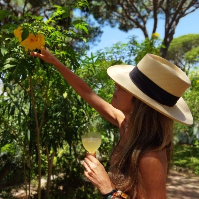 La kombucha cuenta con cualidades antiinflamatorias, poder saciante y, al ser una fuente de probióticos, un vaso al día ayuda a mantener la salud intestinal. (VÍVER KOMBUCHA)