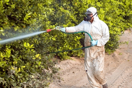 Un operario en tareas de fumigación (AYTO. ALMUÑÉCAR)