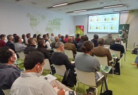 Presentación de la nueva variedad de aguacates (LA CAÑA) Presentación de la nueva variedad de aguacates (LA CAÑA)