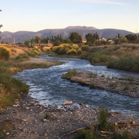 (SOMOS RÍO DÍLAR) (SOMOS RÍO DÍLAR)