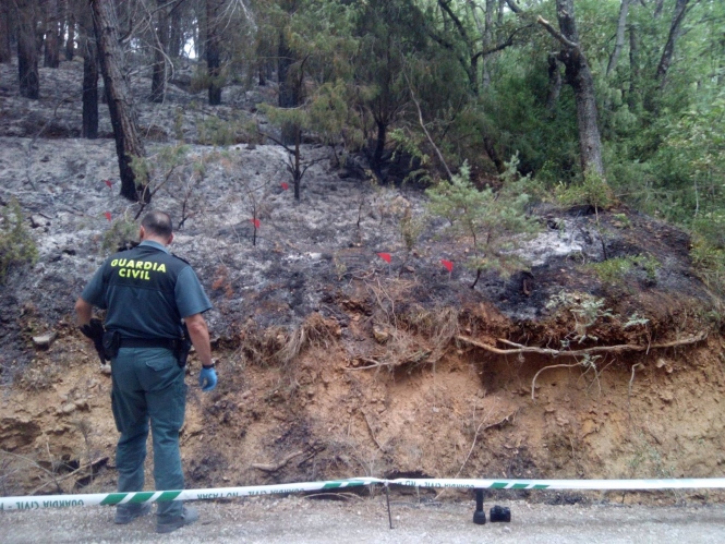 Agente de Guardia Civil junto a un incendio en imagen de archivo (GUARDIA CIVIL)