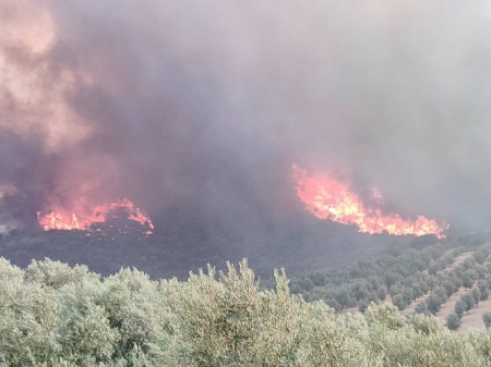 La Junta activa el Nivel 1 del Plan de Emergencias por el incendio en Pinos Puente (112) 