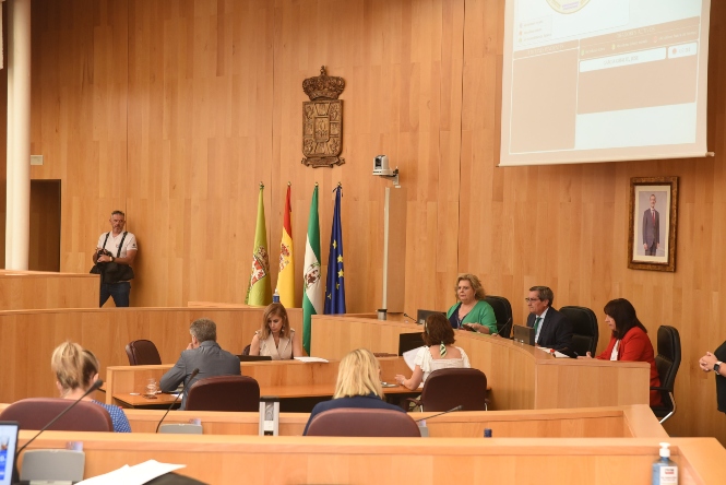 Pleno del mes de julio de Diputación (DIPGRA)