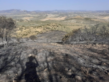 Controlado el incendio del Chorro de las Avispas, en la mañana de este jueves (TWITTER DEL PLAN INFOCA) 