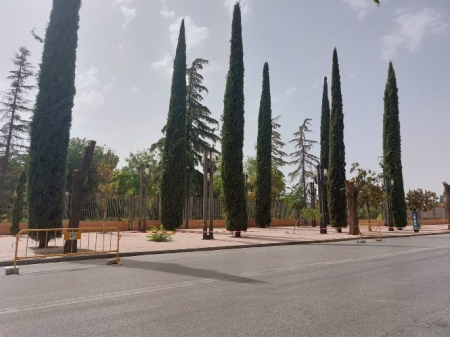Un conjunto de árboles en los accesos al Parque Lorca, en la calle Arabial (UNIDAS PODEMOS) Un conjunto de árboles en los accesos al Parque Lorca, en la calle Arabial (UNIDAS PODEMOS)