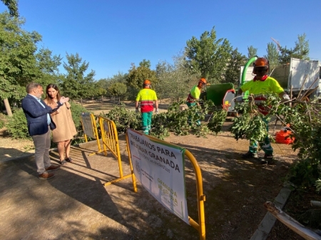 Supervision a las tareas de jardinería (AYTO. GRANADA) Supervision a las tareas de jardinería (AYTO. GRANADA)