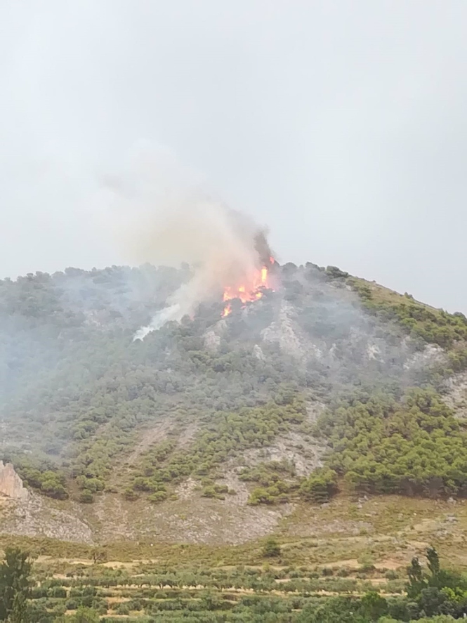 Incendio forestal en el entorno del paraje La Cruz de Nívar, en el área metropolitana de Granada (PLAN INFOCA) 