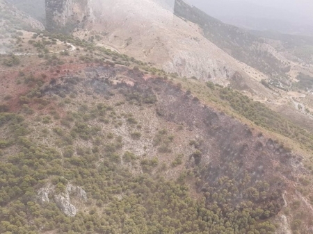 Incendio próximo al paraje La Cruz de Nívar, este pasado lunes (TWITTER DEL INFOCA) 