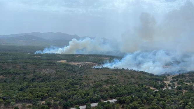 Paraje del Llano de los Alacranes, este pasado lunes (TWITTER DEL PLAN INFOCA) 