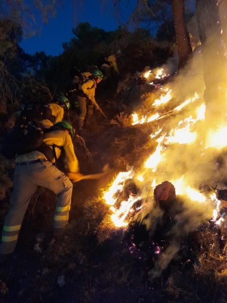 Incendio de Los Guájares (INFOCA) Incendio de Los Guájares (INFOCA)