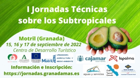 (GRANADA MÁS) (GRANADA MÁS)