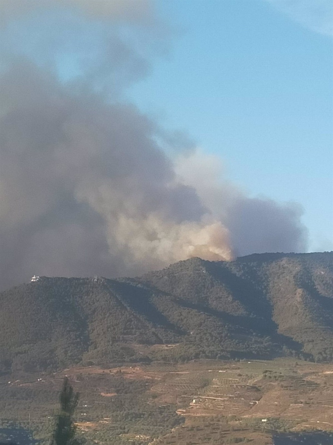 Imagen del incendio en Los Guájares (EUROPA PRESS) 
