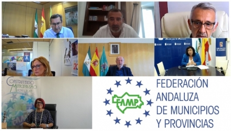 Imagen de la reunión telemática (DIPGRA)