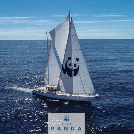 Blue Panda de WWF (WWF) Blue Panda de WWF (WWF)