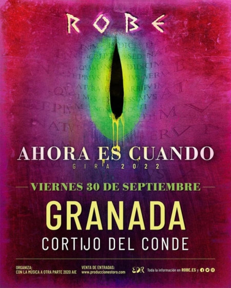 Concierto de Robe (WILDPUNK)