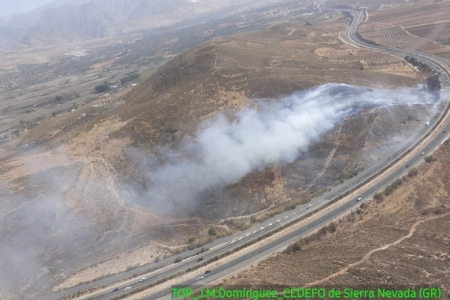Seis medios aéreos desplegados para sofocar un incendio forestal declarado en Padul (INFOCA) 