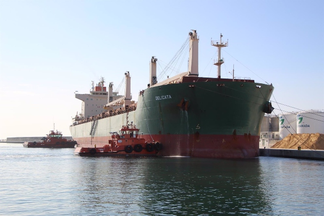 Barco de mayor capacidad de carga en el Puerto de Motril (AUTORIDAD PORTUARIA) 