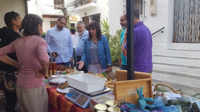 Feria de Artesanía, Turismo y Agricultura Ecológica (AYTO. PAMPANEIRA) 