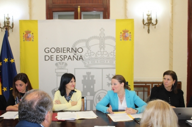 Comisión provincial PFEA (SUBDELEGACIÓN)