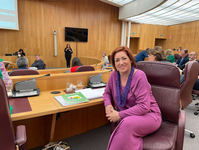 La diputada provincial de IU, Mari Carmen Pérez (IU)