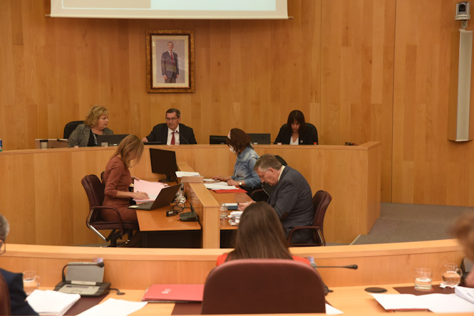 Pleno de la Diputación de Granada (L. ARMAS/ DIPGRA)