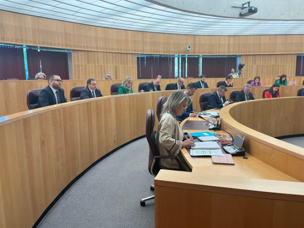 Pleno de Diputación (PP)
