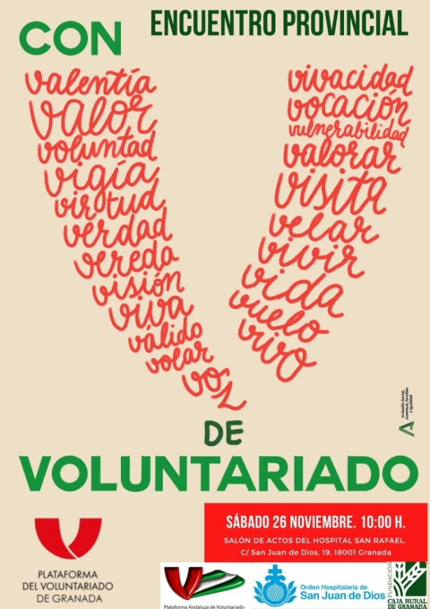 (PLATAFORMA DEL VOLUNTARIADO) 