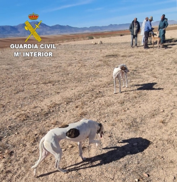 Tres investigados por caza furtiva con galgos en un paraje de Baza (GUARDIA CIVIL) Tres investigados por caza furtiva con galgos en un paraje de Baza (GUARDIA CIVIL)