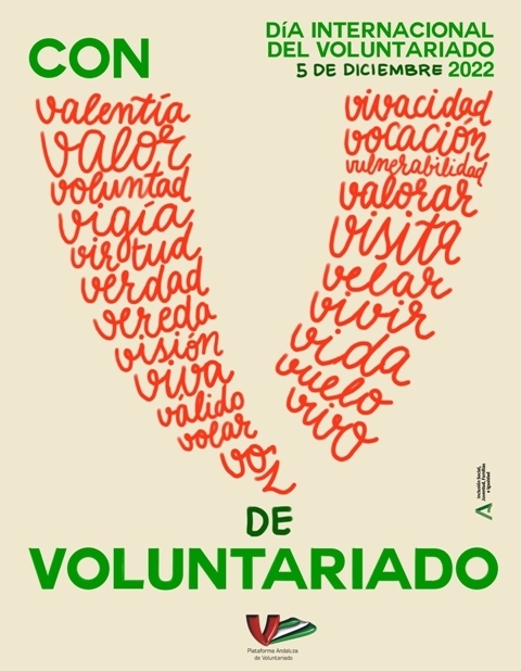 Plataforma del voluntariado 