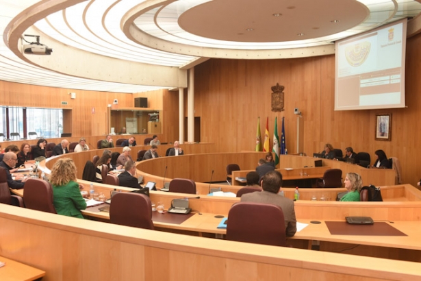 Pleno de Diputación (L. ARMAS/ DIPGRA)