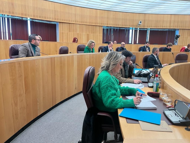 Carmen Lidia Reyes durante el pleno de Diputación (PP)
