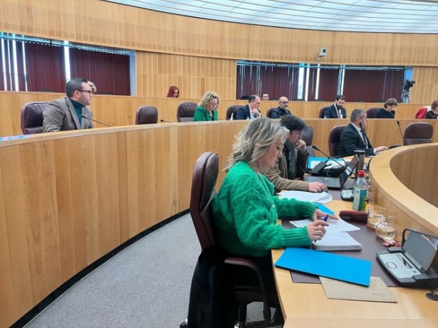 Carmen Lidia Reyes durante el pleno de Diputación (PP)