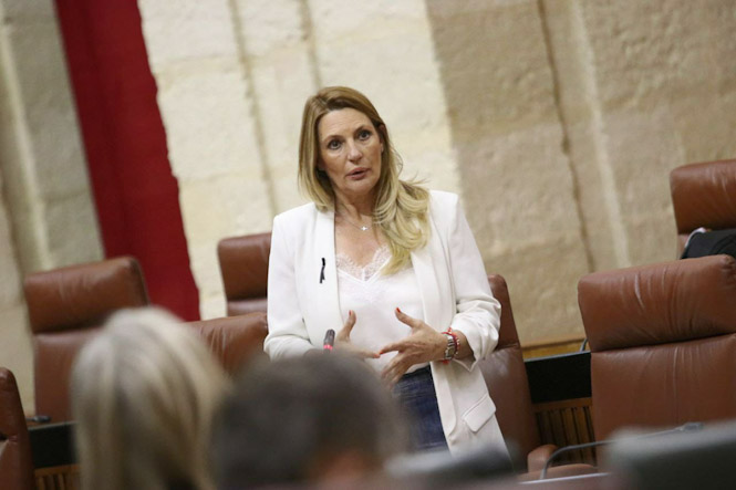 La coordinadora provincial de Ciudadanos, Concha Insúa (CIUDADANOS)