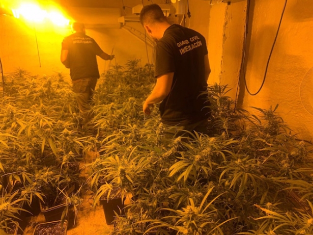 Plantación de marihuana intervenida por la Guardia Civil en el cinturón granadino, en imagen de archivo (GUARDIA CIVIL)
