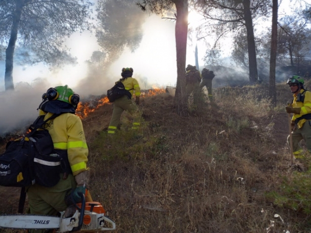 Efectivos del Plan Infoca trabajan para sofocar el incendio de San Miguel, en Granada, en imagen de archivo (INFOCA) Efectivos del Plan Infoca trabajan para sofocar el incendio de San Miguel, en Granada, en imagen de archivo (INFOCA)