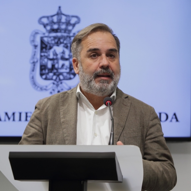 El portavoz del equipo de gobierno local, Jacobo Calvo (AYUNTAMIENTO DE GARNADA)