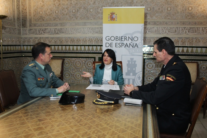 Imagen de la reunión (SUBDELEGACIÓN)