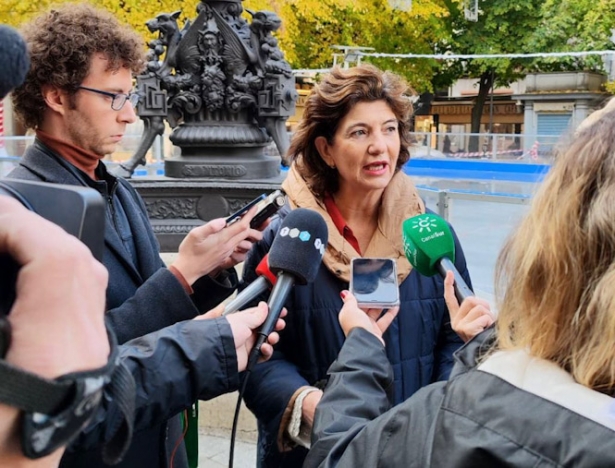 La diputada provincial de Unidas Podemos por Granada (UPporGr), Elisa Cabrerizo (UNIDAS PODEMOS) La diputada provincial de Unidas Podemos por Granada (UPporGr), Elisa Cabrerizo (UNIDAS PODEMOS)