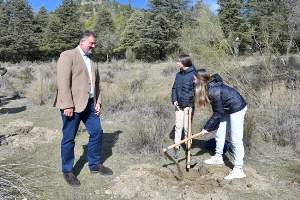 Plantación de árboles (JUNTA) Plantación de árboles (JUNTA)