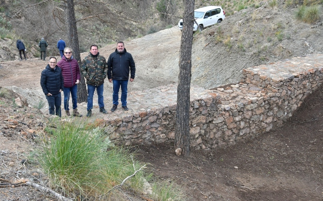 imagen de la visita a la zona del incendio (JUNTA)