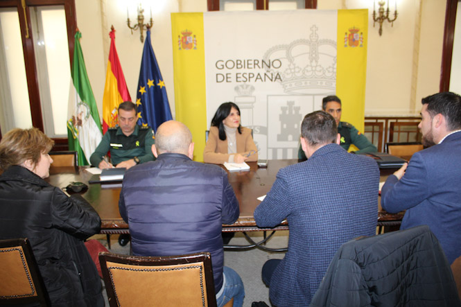 Imagen de la reunión (SUBDELEGACIÓN)