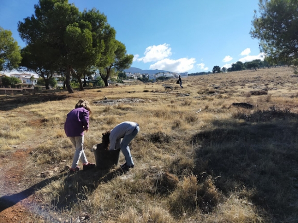 Jornada de reforestación anterior (AYUNTAMIENTO MONACHIL) Jornada de reforestación anterior (AYUNTAMIENTO MONACHIL)