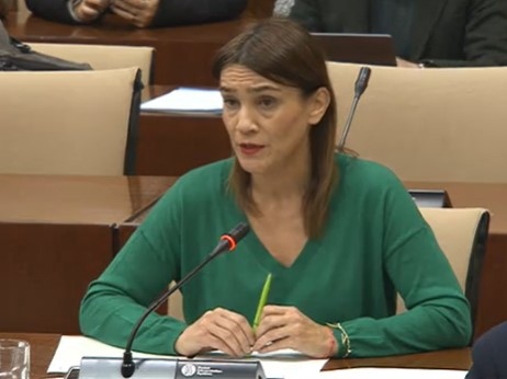La parlamentaria andaluza del PSOE, Olga Manzano (PSOE) 