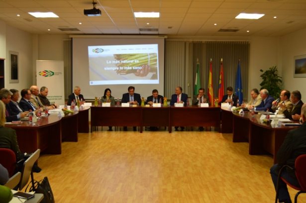 Imterprofesional del espárrago verde (FAECA)
