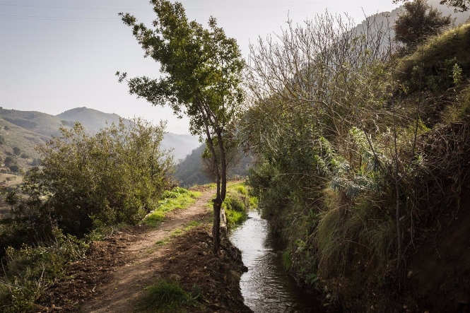 Acequia Real de la Alhambra (JUNTA DE ANDALUCÍA) 