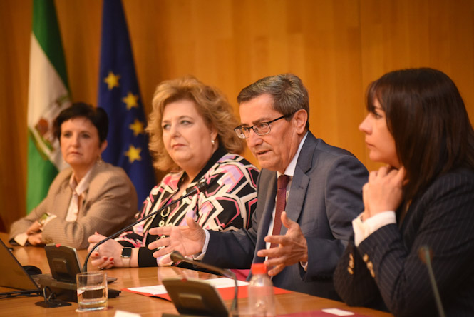 Presentación de la línea de subvenciones (R. MARTÍNEZ/ DIPGRA)