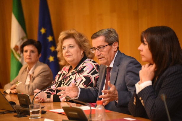 Presentación de la línea de subvenciones (R. MARTÍNEZ/ DIPGRA)