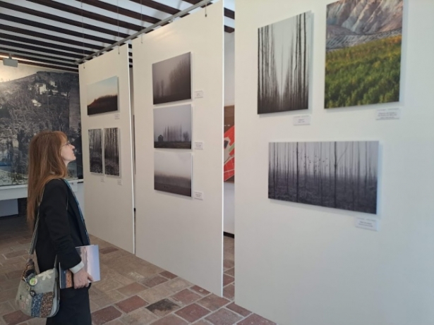 Imagen de la exposición (MADERA PARA EL FUTURO) 
