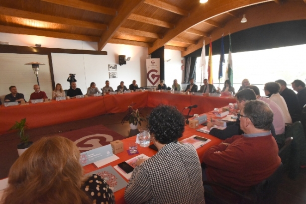 Mesa provincial contra la despoblación (DIPGRA) Mesa provincial contra la despoblación (DIPGRA)